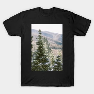 Snow Pines T-Shirt